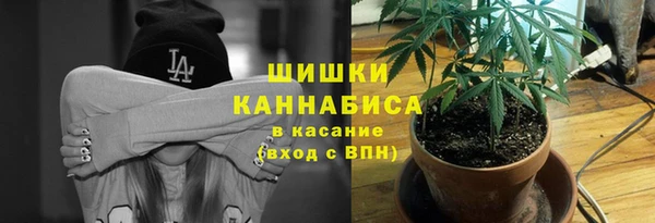 spice Аркадак