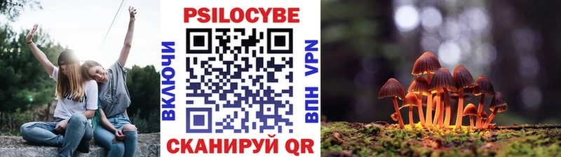 Галлюциногенные грибы прущие грибы  закладка  Каменногорск 